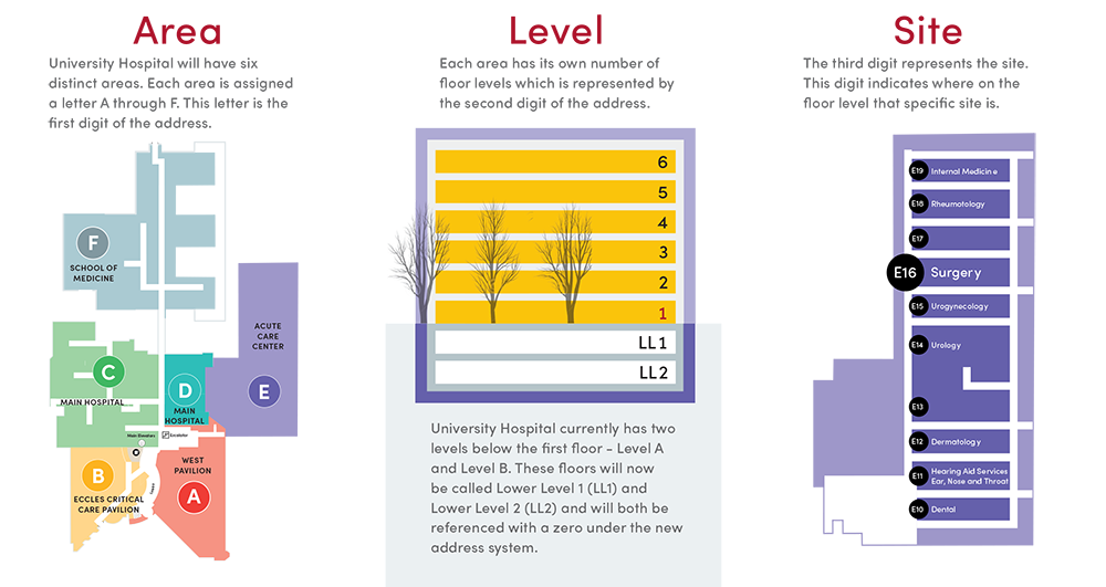 Area Level Site Explanations